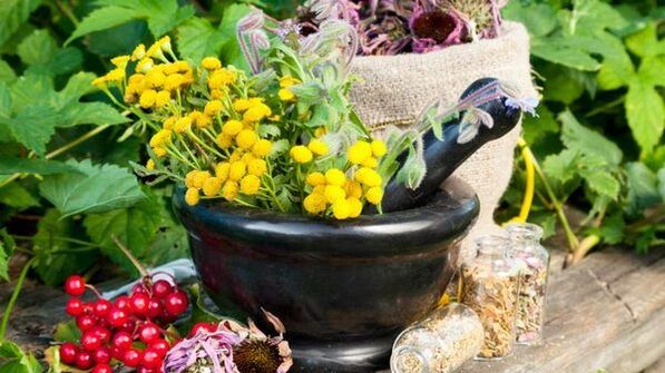 deworming herb