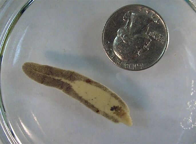 The size of the flow compared to a currency