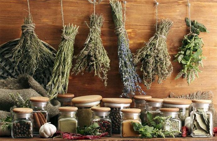 Herb from the parasites